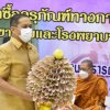 วันที่ 26 พฤศจิกายน 2565 สหกรณ์ออมทรัพย์สาธารณสุขกระบี่ จำกัด ร่วมกับสำนักงานสาธารณสุขจังหวัดกระบี่ เป็นเจ้าภาพจัดทอดผ้าป่าสามัคคี เพื่อสมทบทุนจัดซื้อครุภัณฑ์ทางการแพทย์ให้กับโรงพยาบาลเขาพนม และโรงพยาบาลเกาะพีพี ณ ห้องประชุมราชพฤกษ์