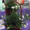 dscf0730
