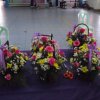 dscf0768