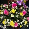 dscf0786