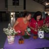 dscf0856