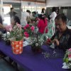 dscf0873
